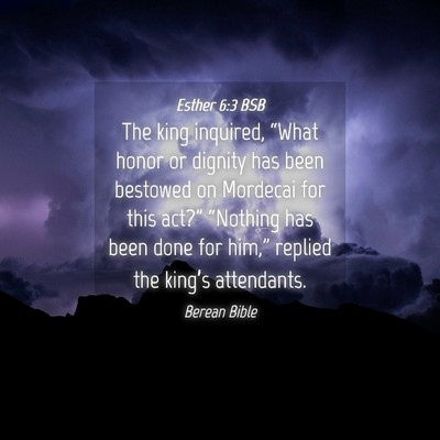 Picture 04 - Esther 6:3 BSB - The king inquired, “What honor or dignity has - Bible Verse Picture