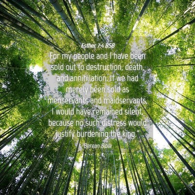 Picture 04 - Esther 7:4 BSB - For my people and I have been sold out to - Bible Verse Picture
