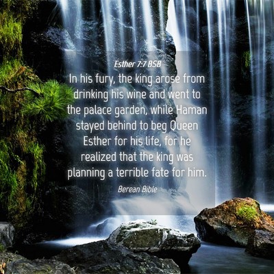 Picture 04 - Esther 7:7 BSB - In his fury, the king arose from drinking his - Bible Verse Picture