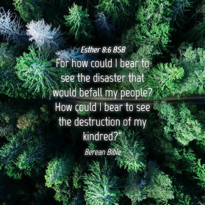 Picture 04 - Esther 8:6 BSB - For how could I bear to see the disaster that - Bible Verse Picture