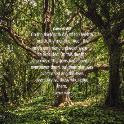 Picture 04 - Esther 9:1 BSB - On the thirteenth day of the twelfth month, the - Bible Verse Picture