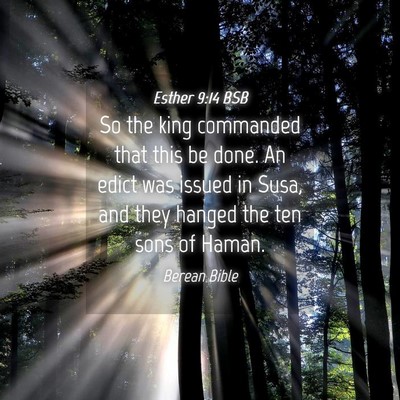 Picture 04 - Esther 9:14 BSB - So the king commanded that this be done. An edict - Bible Verse Picture