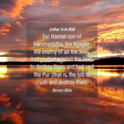Picture 04 - Esther 9:24 BSB - For Haman son of Hammedatha, the Agagite, the - Bible Verse Picture
