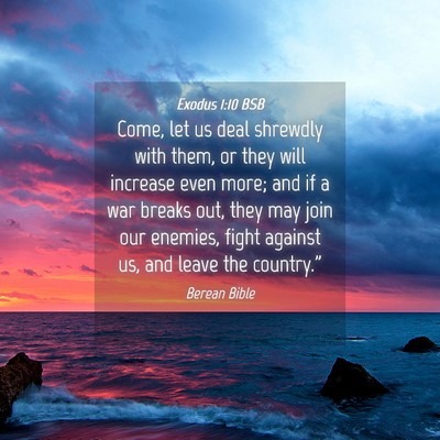 Picture 04 - Exodus 1:10 BSB - Come, let us deal shrewdly with them, or they - Bible Verse Picture