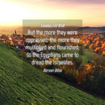 Picture 04 - Exodus 1:12 BSB - But the more they were oppressed, the more they - Bible Verse Picture