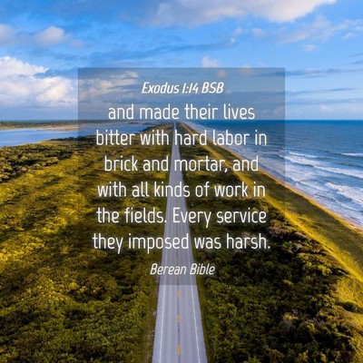 Picture 04 - Exodus 1:14 BSB - and made their lives bitter with hard labor in - Bible Verse Picture