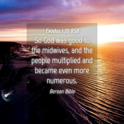 Picture 04 - Exodus 1:20 BSB - So God was good to the midwives, and the people - Bible Verse Picture