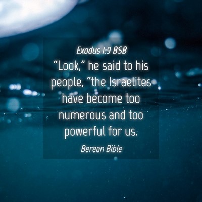 Picture 04 - Exodus 1:9 BSB - “Look,” he said to his people, “the - Bible Verse Picture
