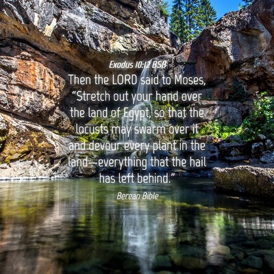 Picture 04 - Exodus 10:12 BSB - Then the LORD said to Moses, “Stretch out your - Bible Verse Picture