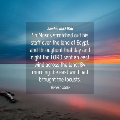 Picture 04 - Exodus 10:13 BSB - So Moses stretched out his staff over the land of - Bible Verse Picture