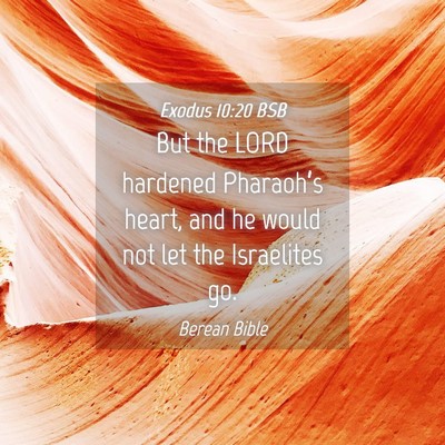 Picture 04 - Exodus 10:20 BSB - But the LORD hardened Pharaoh’s heart, and he - Bible Verse Picture