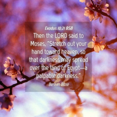Picture 04 - Exodus 10:21 BSB - Then the LORD said to Moses, “Stretch out your - Bible Verse Picture