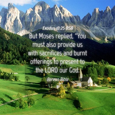 Picture 04 - Exodus 10:25 BSB - But Moses replied, “You must also provide us - Bible Verse Picture