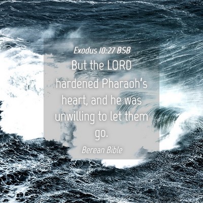 Picture 04 - Exodus 10:27 BSB - But the LORD hardened Pharaoh’s heart, and he - Bible Verse Picture