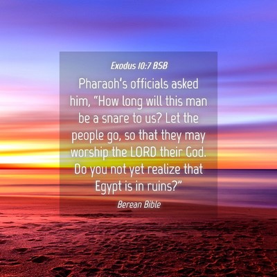 Picture 04 - Exodus 10:7 BSB - Pharaoh’s officials asked him, “How long will - Bible Verse Picture