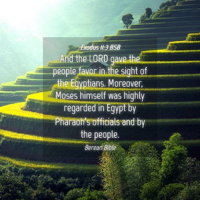 Picture 04 - Exodus 11:3 BSB - And the LORD gave the people favor in the sight - Bible Verse Picture