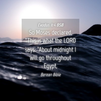 Picture 04 - Exodus 11:4 BSB - So Moses declared, “This is what the LORD says: - Bible Verse Picture