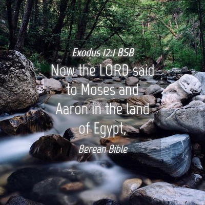 Picture 04 - Exodus 12:1 BSB - Now the LORD said to Moses and Aaron in the land - Bible Verse Picture