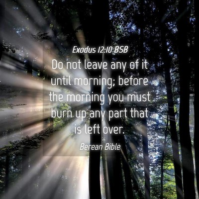 Picture 04 - Exodus 12:10 BSB - Do not leave any of it until morning; before the - Bible Verse Picture
