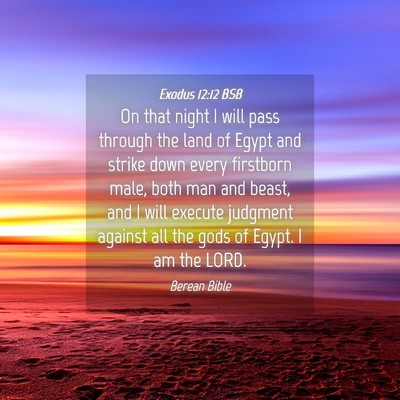 Picture 04 - Exodus 12:12 BSB - On that night I will pass through the land of - Bible Verse Picture