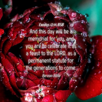 Picture 04 - Exodus 12:14 BSB - And this day will be a memorial for you, and you - Bible Verse Picture