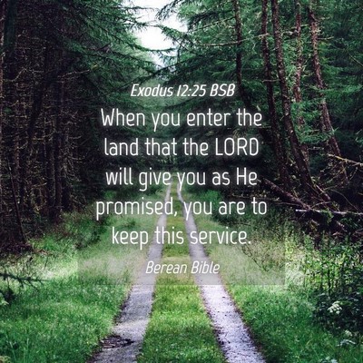 Picture 04 - Exodus 12:25 BSB - When you enter the land that the LORD will give - Bible Verse Picture
