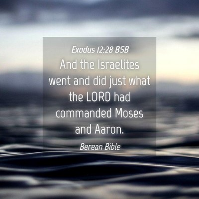 Picture 04 - Exodus 12:28 BSB - And the Israelites went and did just what the - Bible Verse Picture