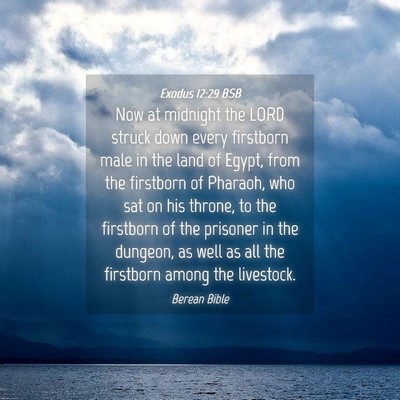Picture 04 - Exodus 12:29 BSB - Now at midnight the LORD struck down every - Bible Verse Picture