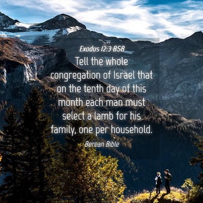 Picture 04 - Exodus 12:3 BSB - Tell the whole congregation of Israel that on the - Bible Verse Picture