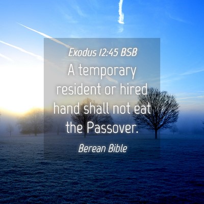 Picture 04 - Exodus 12:45 BSB - A temporary resident or hired hand shall not eat - Bible Verse Picture