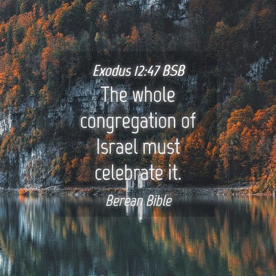 Picture 04 - Exodus 12:47 BSB - The whole congregation of Israel must celebrate - Bible Verse Picture