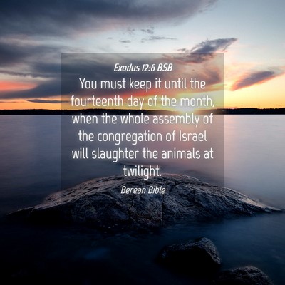 Picture 04 - Exodus 12:6 BSB - You must keep it until the fourteenth day of the - Bible Verse Picture