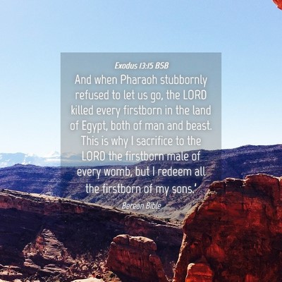 Picture 04 - Exodus 13:15 BSB - And when Pharaoh stubbornly refused to let us go, - Bible Verse Picture