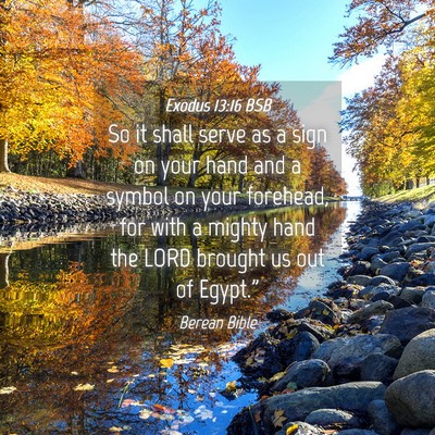 Picture 04 - Exodus 13:16 BSB - So it shall serve as a sign on your hand and a - Bible Verse Picture