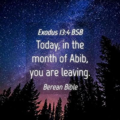 Picture 04 - Exodus 13:4 BSB - Today, in the month of Abib, you are - Bible Verse Picture