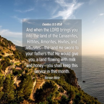 Picture 04 - Exodus 13:5 BSB - And when the LORD brings you into the land of the - Bible Verse Picture
