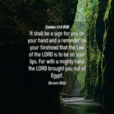 Picture 04 - Exodus 13:9 BSB - It shall be a sign for you on your hand and a - Bible Verse Picture