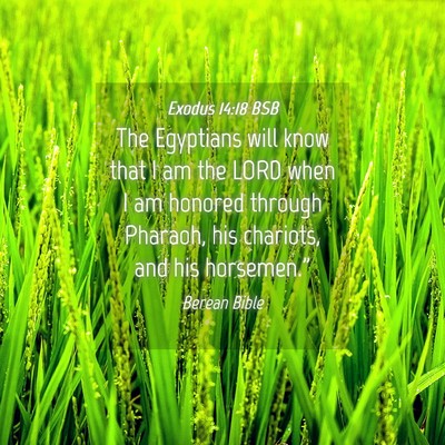 Picture 04 - Exodus 14:18 BSB - The Egyptians will know that I am the LORD when I - Bible Verse Picture