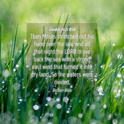Picture 04 - Exodus 14:21 BSB - Then Moses stretched out his hand over the sea, - Bible Verse Picture
