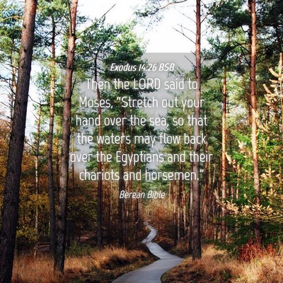 Picture 04 - Exodus 14:26 BSB - Then the LORD said to Moses, “Stretch out your - Bible Verse Picture