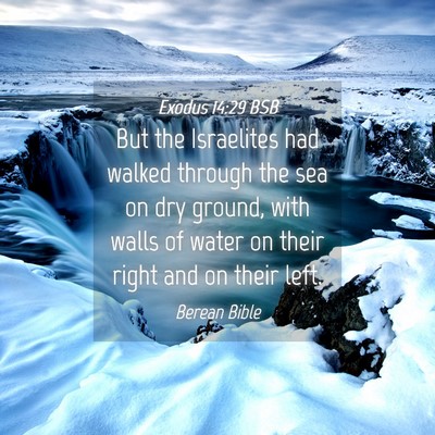 Picture 04 - Exodus 14:29 BSB - But the Israelites had walked through the sea on - Bible Verse Picture
