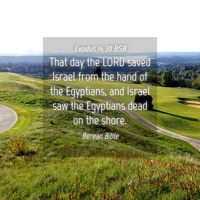 Picture 04 - Exodus 14:30 BSB - That day the LORD saved Israel from the hand of - Bible Verse Picture