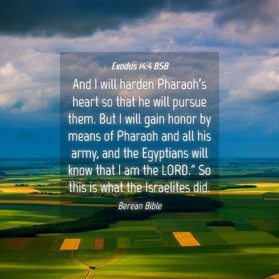 Picture 04 - Exodus 14:4 BSB - And I will harden Pharaoh’s heart so that he - Bible Verse Picture