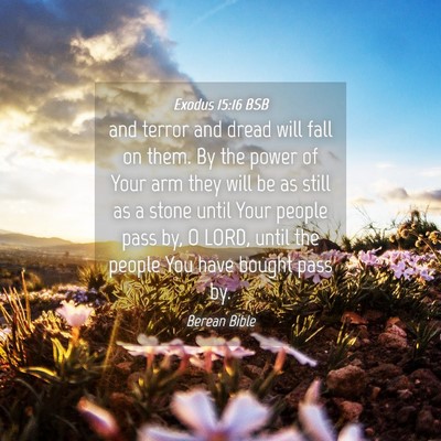 Picture 04 - Exodus 15:16 BSB - and terror and dread will fall on them. By the - Bible Verse Picture