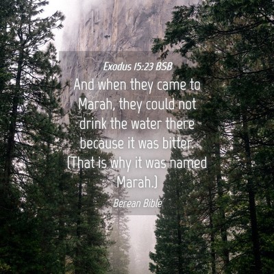 Picture 04 - Exodus 15:23 BSB - And when they came to Marah, they could not drink - Bible Verse Picture