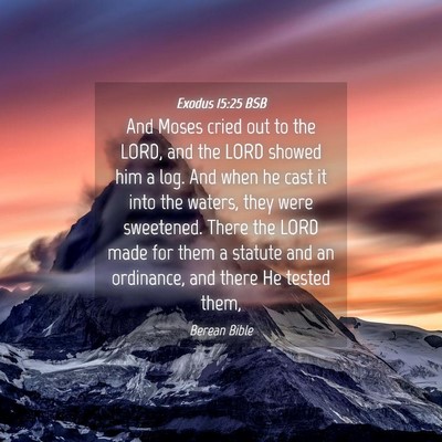 Picture 04 - Exodus 15:25 BSB - And Moses cried out to the LORD, and the LORD - Bible Verse Picture