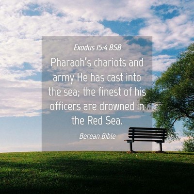 Picture 04 - Exodus 15:4 BSB - Pharaoh’s chariots and army He has cast into - Bible Verse Picture