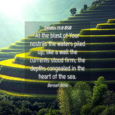 Picture 04 - Exodus 15:8 BSB - At the blast of Your nostrils the waters piled - Bible Verse Picture