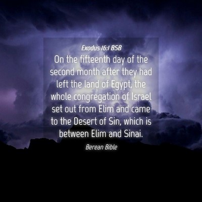 Picture 04 - Exodus 16:1 BSB - On the fifteenth day of the second month after - Bible Verse Picture