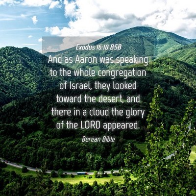 Picture 04 - Exodus 16:10 BSB - And as Aaron was speaking to the whole - Bible Verse Picture
